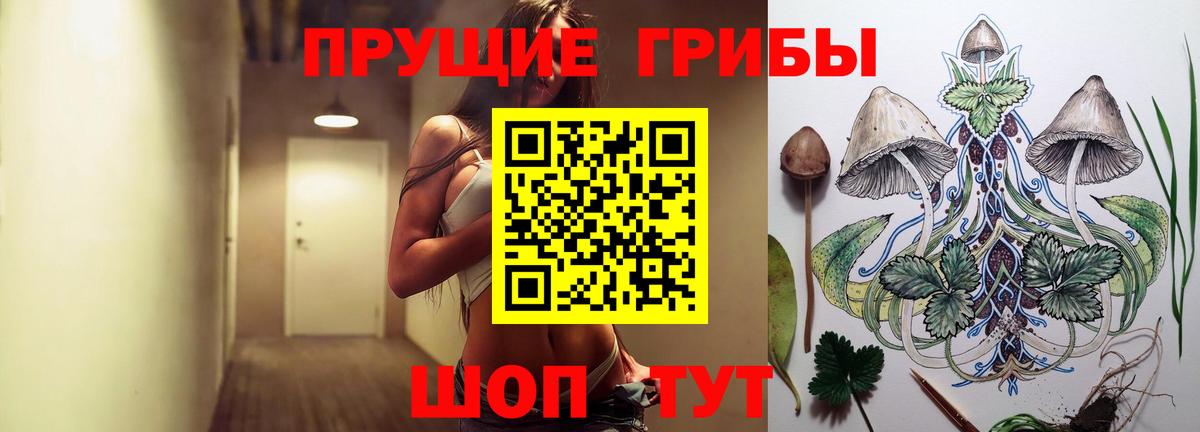 Галлюциногенные грибы Psilocybine cubensis Шахты